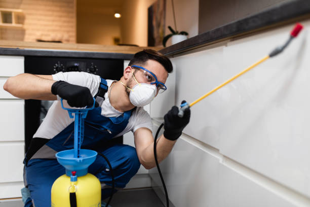Best Pest Prevention Services  in Cottageville, SC