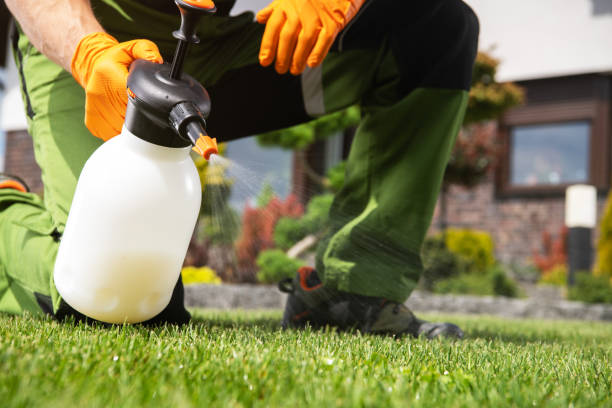 Professional Pest Control in Cottageville, SC