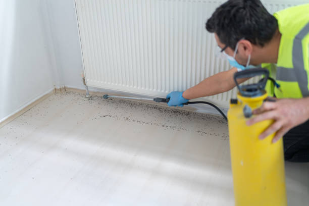 Best Pest Removal Services  in Cottageville, SC